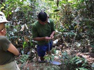 kabanas amazon lodge