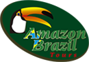 amazon tour from brazil