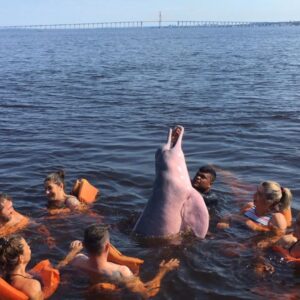 Manaus Amazon Tours Brazil