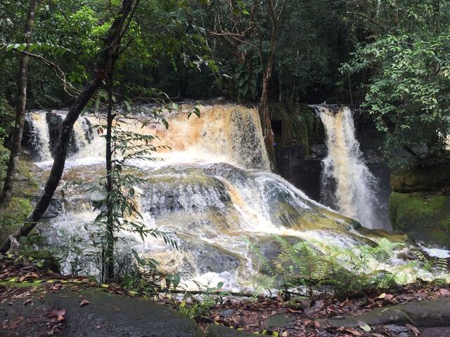 amazon tours from manaus brazil