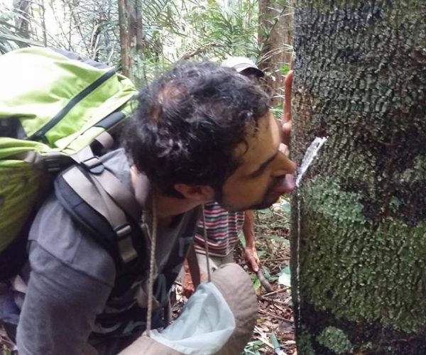 Amazon Survival